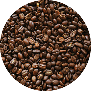 Caffeine & Coffee Seed Extract