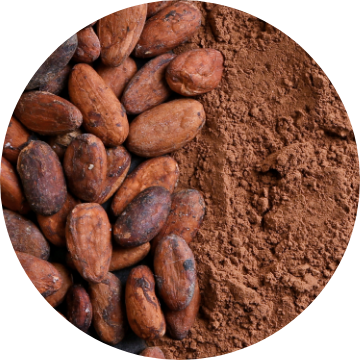 Organic  Cocoa Seed Butter