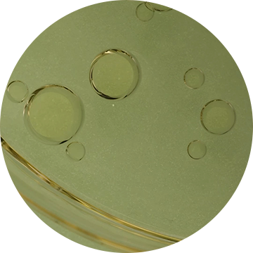 Vegetable Squalane 