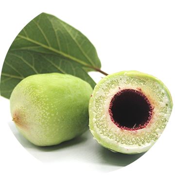 Kakadu Plum Seed Oil