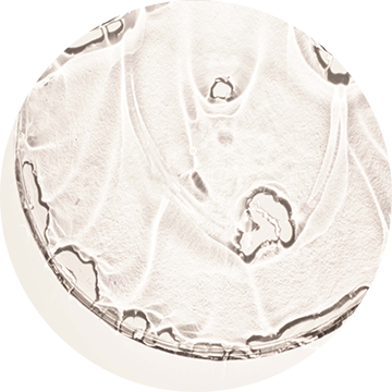 Niacinamide