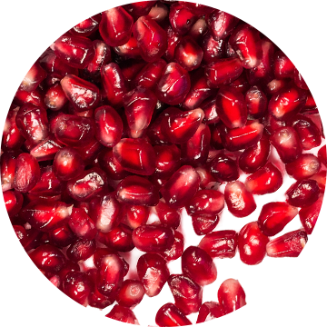 Peptides & Pomegranate Extract