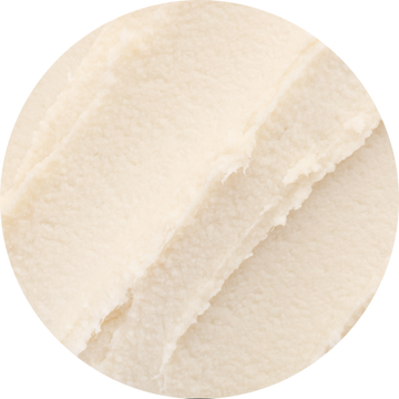 Organic Cocoa Seed Butter