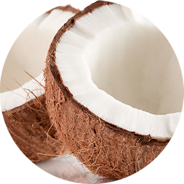 Organic Coconut Oil 