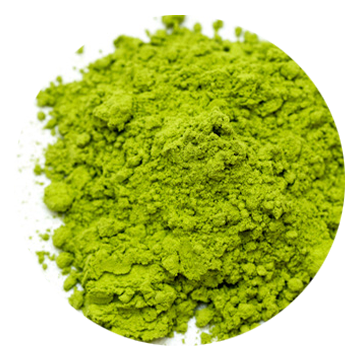 Organic Green Tea Extract