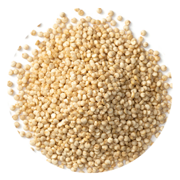 Natural Peptide Quinoa Extract