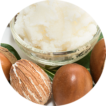 Organic Shea Butter